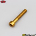 5x30 mm vite BTR testa Evotech oro (singola)