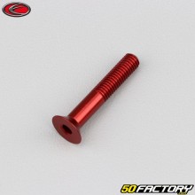 Vite 5x30 mm BTR testa svasata Evotech rosso (per unità)