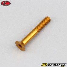 Tornillo de 5x35 mm BTR cabeza avellanada Evotech dorado (por unidad)