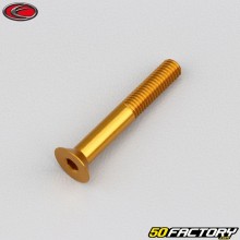 Parafuso 5x35 mm BTR cabeça escareada Evotech dourado (por unidade)