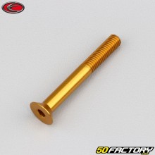 Parafuso 5x40 mm BTR cabeça escareada Evotech dourado (por unidade)