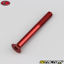 Vite 5x45 mm BTR testa svasata Evotech rosso (per unità)