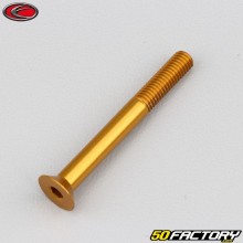Tornillo de 5x45 mm BTR cabeza avellanada Evotech dorado (por unidad)