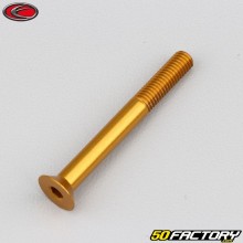 Vite 5x45 mm BTR testa svasata Evotech dorato (per unità)