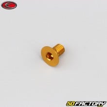Tornillo de 6x10 mm BTR cabeza avellanada Evotech dorado (por unidad)
