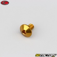 6x10 mm screw rounded head Evotech gold (single)