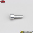 XNUMXxXNUMX mm screw BTR head Evotech gray (per unit)