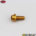 Tornillos de 6x15 mm cabeza BTR abovedada base dorada Evotech (simple)