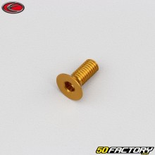 Parafuso 6x15 mm BTR cabeça escareada Evotech dourado (por unidade)