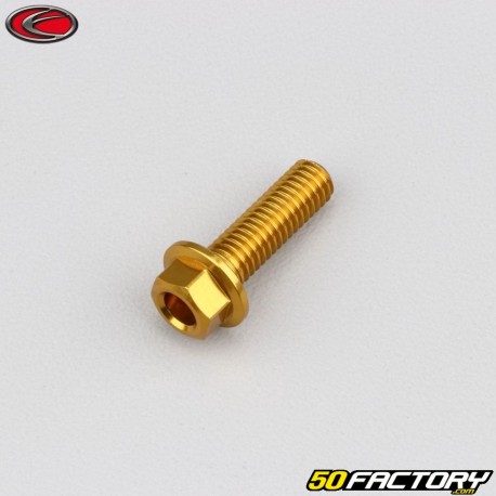 Tornillo de cabeza hexagonal Evotech de 6x20 mm base dorada (simple)