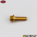 6x20 mm screw hex head Evotech gold base (single)