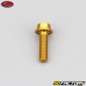 6x20 mm screw hex head Evotech gold base (single)