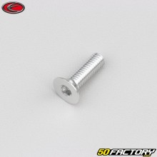 Parafuso 6x20 mm BTR cabeça escareada Evotech cinza (por unidade)