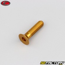 Vite 6x25 mm BTR testa svasata Evotech dorato (per unità)