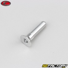 Vite 6x25 mm BTR testa svasata Evotech grigio (per unità)