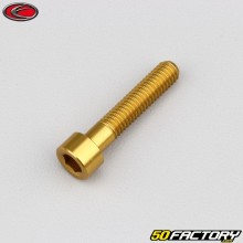 Parafuso 6x30 mm cabeça BTR Evotech dorado (por unidade)