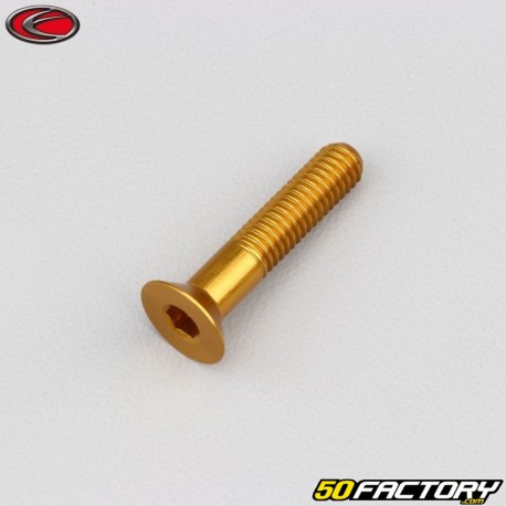 6x30 mm parafuso BTR cabeça escareada Evotech gold (simples)