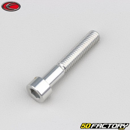 6x35 mm vite testa BTR grigio Evotech (per unità)