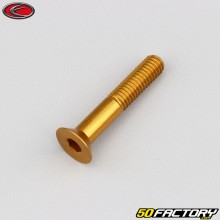 Tornillo de 6x35 mm BTR cabeza avellanada Evotech dorado (por unidad)