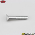 6x35 mm screw BTR countersunk head Evotech gray (per unit)