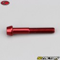 Tornillo de 6x40 mm cabeza cónica BTR Evotech rojo (por unidad)