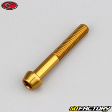 Tornillo de 6x40 mm cabeza cónica BTR Evotech dorado (por unidad)