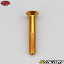 Tornillo de 6x40 mm BTR cabeza avellanada Evotech oro (simple)