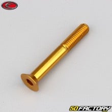 Schraube 6x45 mm BTR Senkkopf Evotech gold (einzeln)