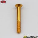 Tornillo de 6x45 mm BTR cabeza avellanada Evotech oro (simple)