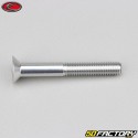 Tornillo de 6x45 mm BTR cabeza avellanada Evotech gris (por unidad)