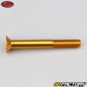 Tornillo de 6x50 mm BTR cabeza avellanada Evotech oro (simple)