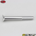 6x50 mm screw BTR countersunk head Evotech gray (per unit)