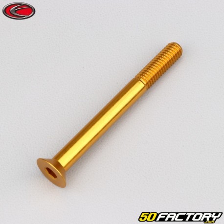 6x60 mm parafuso BTR cabeça escareada Evotech gold (simples)