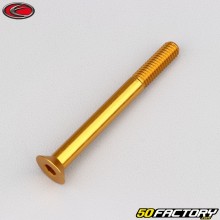 Tornillo de 6x60 mm BTR cabeza avellanada Evotech dorado (por unidad)