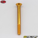 Tornillo de 6x60 mm BTR cabeza avellanada Evotech oro (simple)