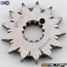 13 denti 428 Pignone di uscita della scatola KTM SX 85 (da 2018), Gas Gas M.C.... Afam SC (anti-fango)