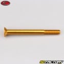 6x65 mm screw BTR countersunk head Evotech gold (single)