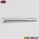 Tornillo de 6x65 mm BTR cabeza avellanada Evotech gris (por unidad)