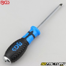 Flat screwdriver 6x100 mm BGS 4 pans