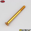 Tornillo de 6x70 mm BTR cabeza avellanada Evotech oro (simple)