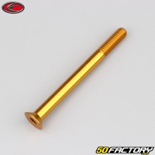 Tornillo de 6x70 mm BTR cabeza avellanada Evotech dorado (por unidad)