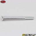 Tornillo de XNUMXxXNUMX mm BTR cabeza avellanada Evotech gris (por unidad)
