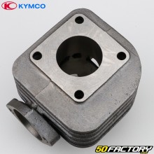 Cast iron cylinder Ø39 mm Kymco Agility,  Super 9 50 2T ...