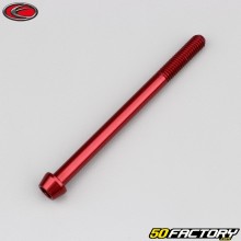 Schraube 6x80 mm Evotech BTR-Kopf konisch rot (einzeln)