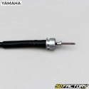Speedometer cable
 Yamaha Chappy  50