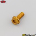 Tornillo de cabeza hexagonal Evotech de 8x20 mm base dorada (simple)