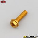 8x30 mm screw hex head Evotech gold base (single)