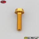 8x30 mm screw hex head Evotech gold base (single)