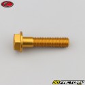 8x35 mm screw hex head Evotech gold base (single)