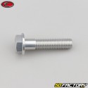 8x35 mm screw hex head gray Evotech base (single)